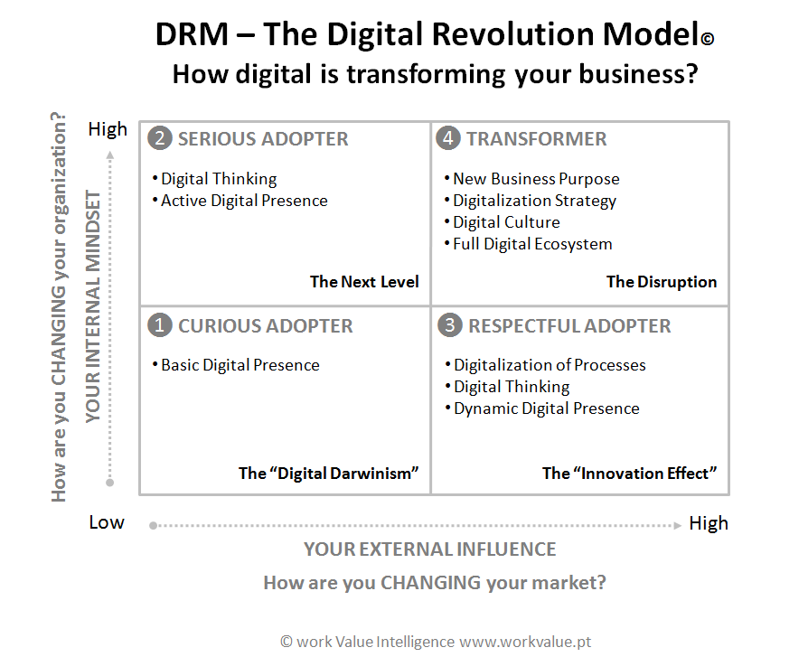 DRM Digital Revolution MODEL