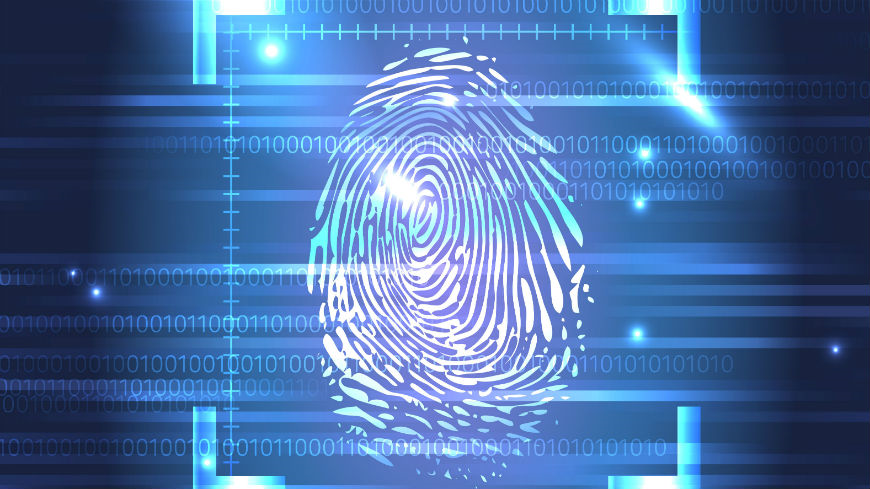 Digital Fingerprints