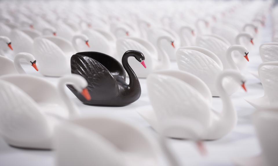 black swan2